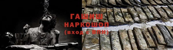 стаф Медногорск