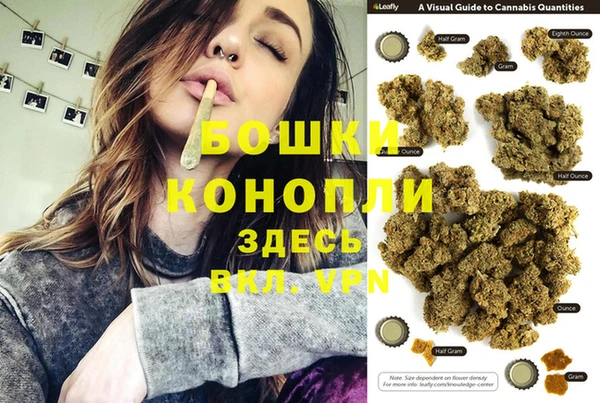 стаф Медногорск