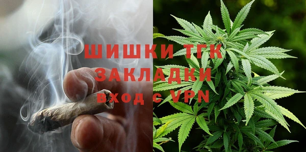 стаф Медногорск