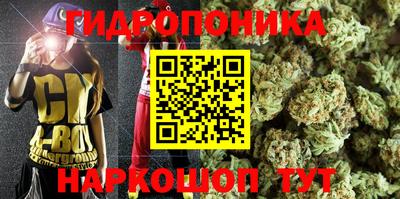 PSILOCYBIN Будённовск