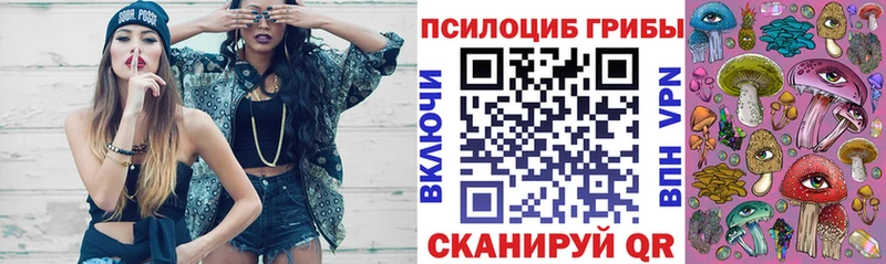 где продают   blacksprut рабочий сайт  Галлюциногенные грибы Magic Shrooms  Рассказово 